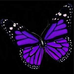 Meet your Posher, Camille